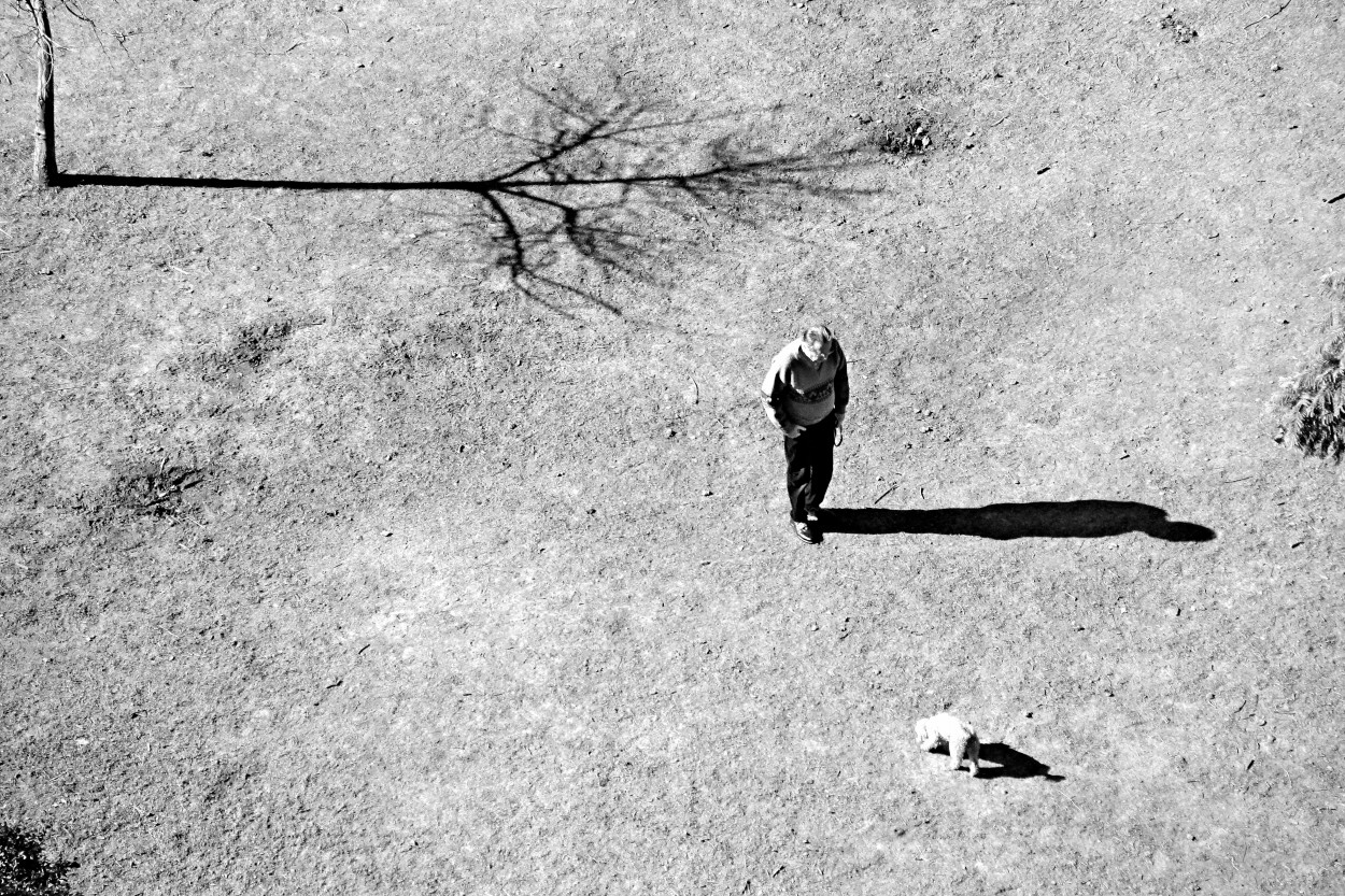 "sombras de invierno" de Guillermo Covelli