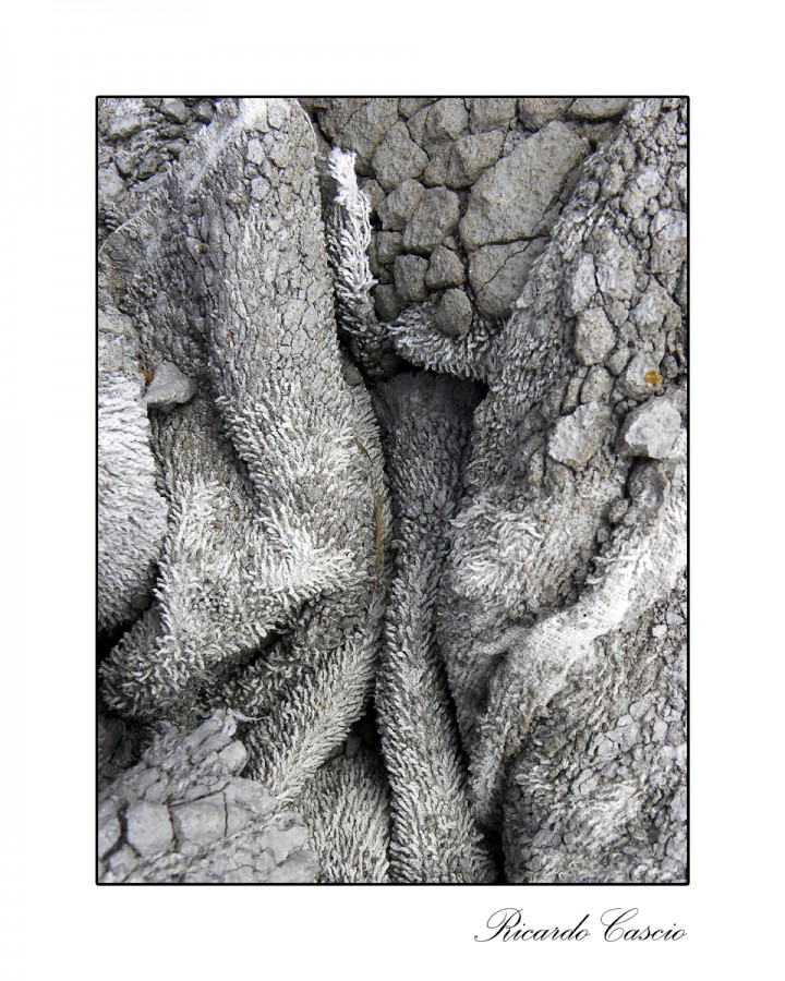 "texturARTE - Abstracto con texturas -" de Ricardo Cascio