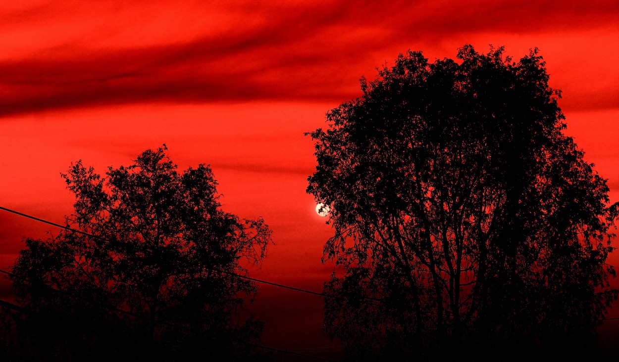 "Cielo rojo" de Miguel ngel Nava Venegas ( Mike Navolta)