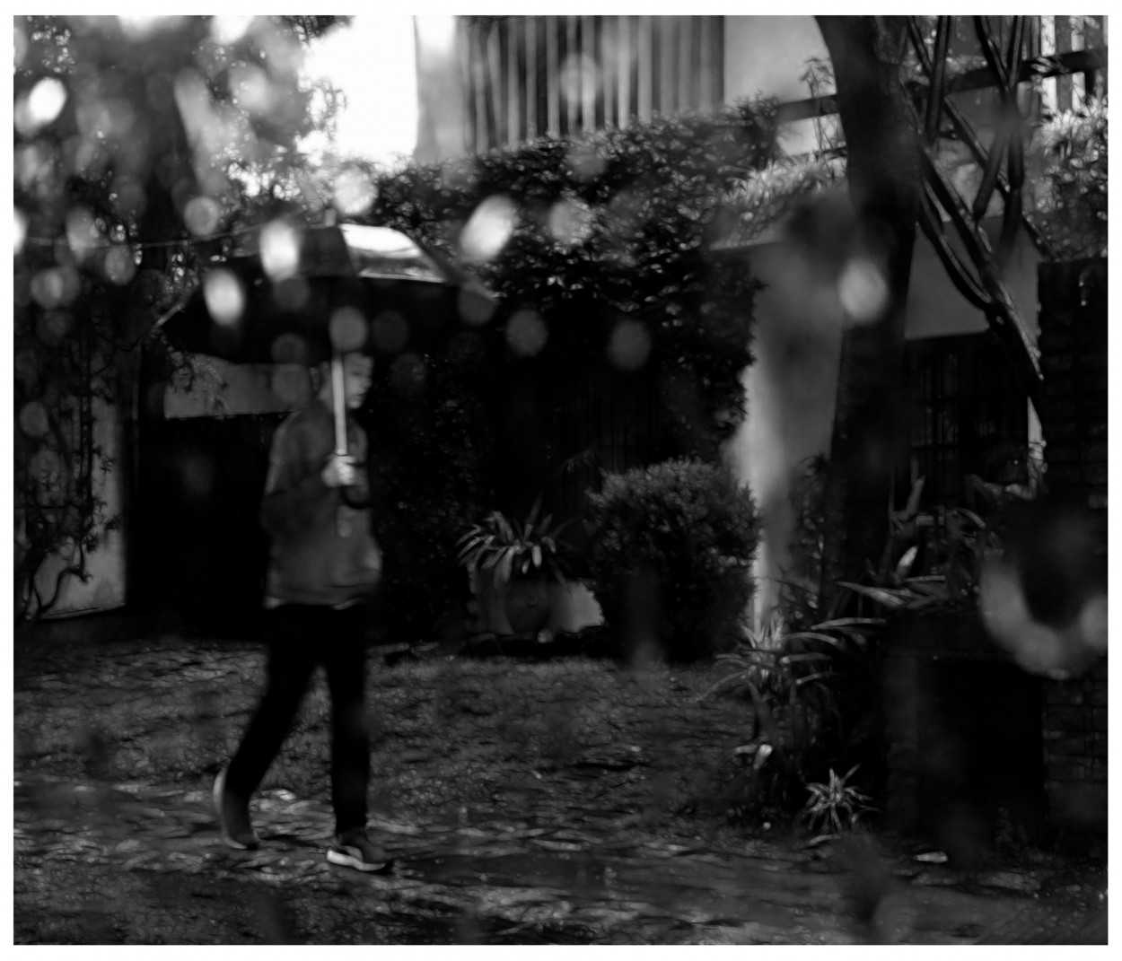 "Bajo la lluvia" de Nora Lilian Iturbide ( Noral )