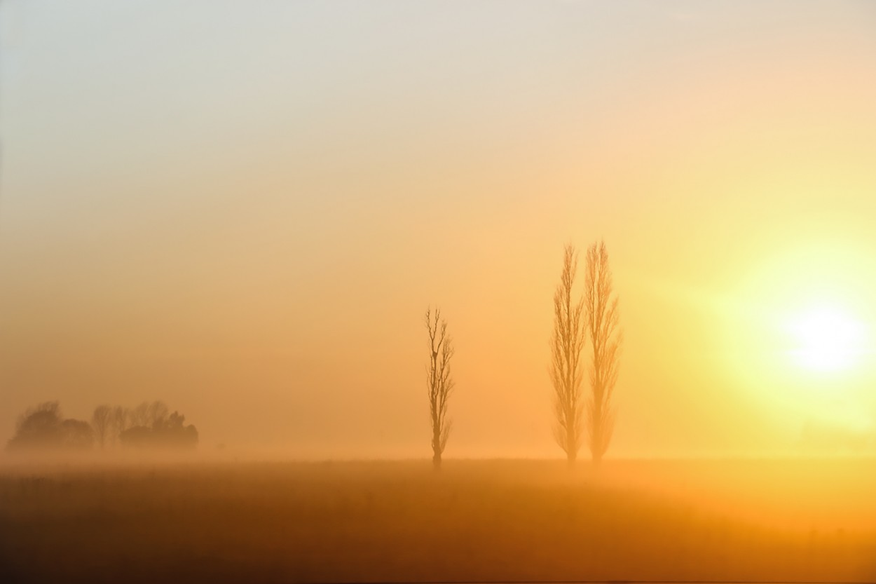 "Siluetas en la niebla del amanecer" de Eli - Elisabet Ferrari