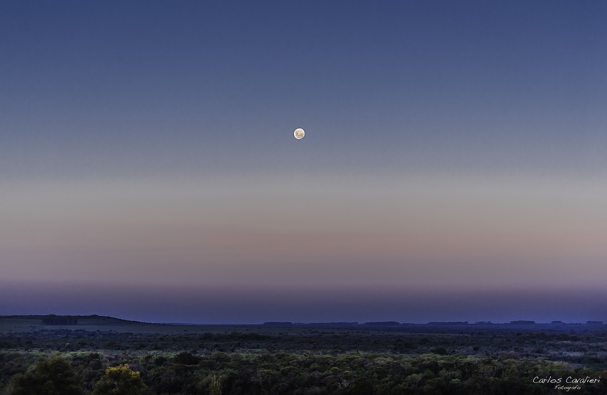 "Solo la luna en el horizonte..." de Carlos Cavalieri