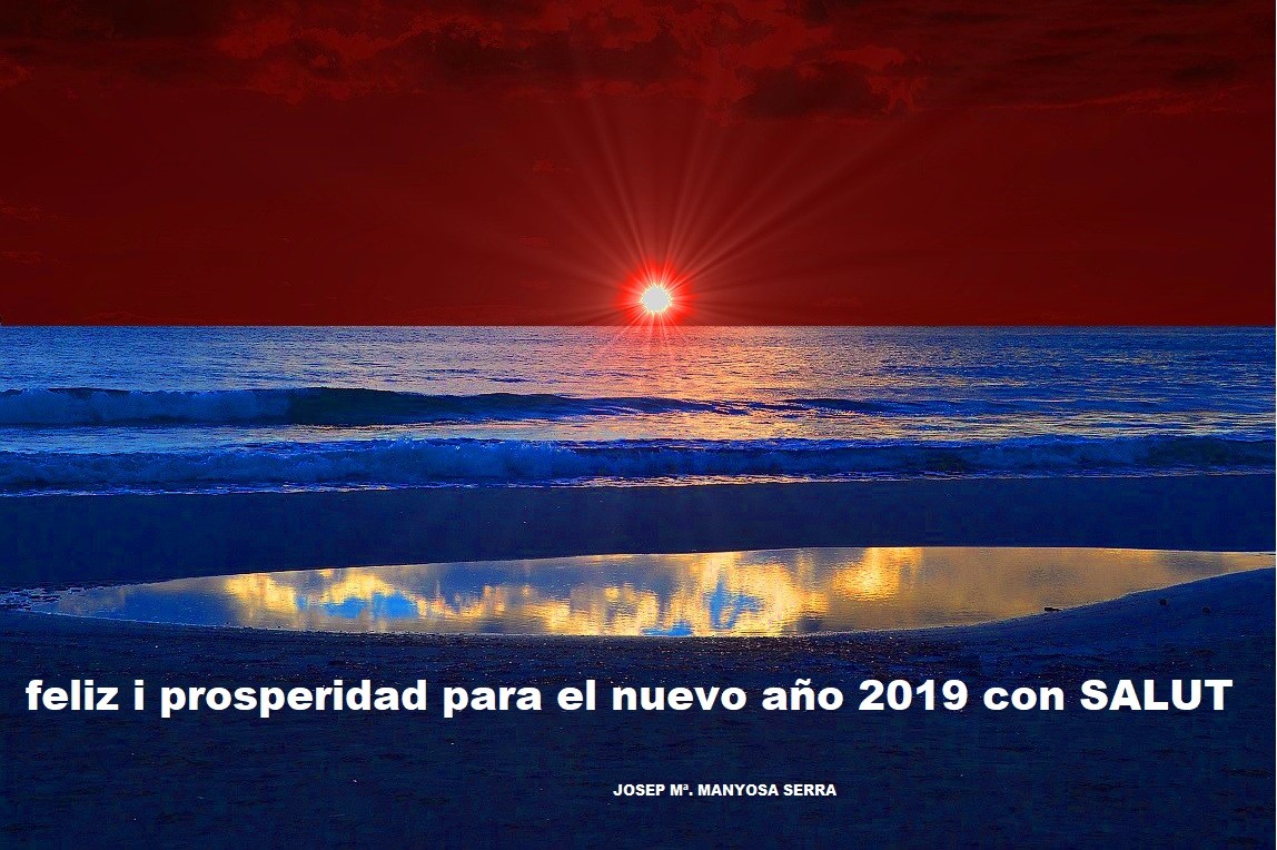 "FELIZ AO NUEVO 2019" de Josep Maria Maosa Serra