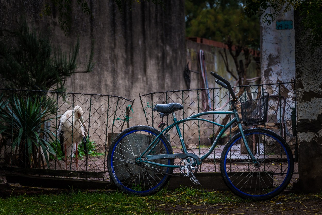 "Extrao cuidador de bicicletas" de Fernando Valdez Vazquez