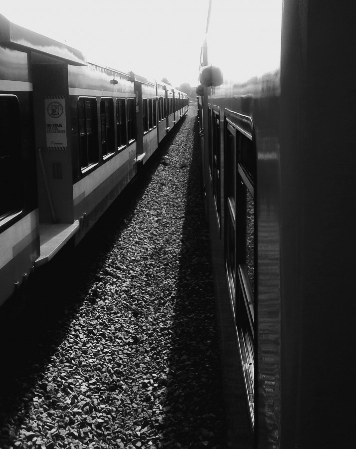 "La vida como el tren unos vienen otros se van" de Roberto Guillermo Hagemann