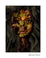 Serie: `Retratos de medianoche` Ninfa del bosque