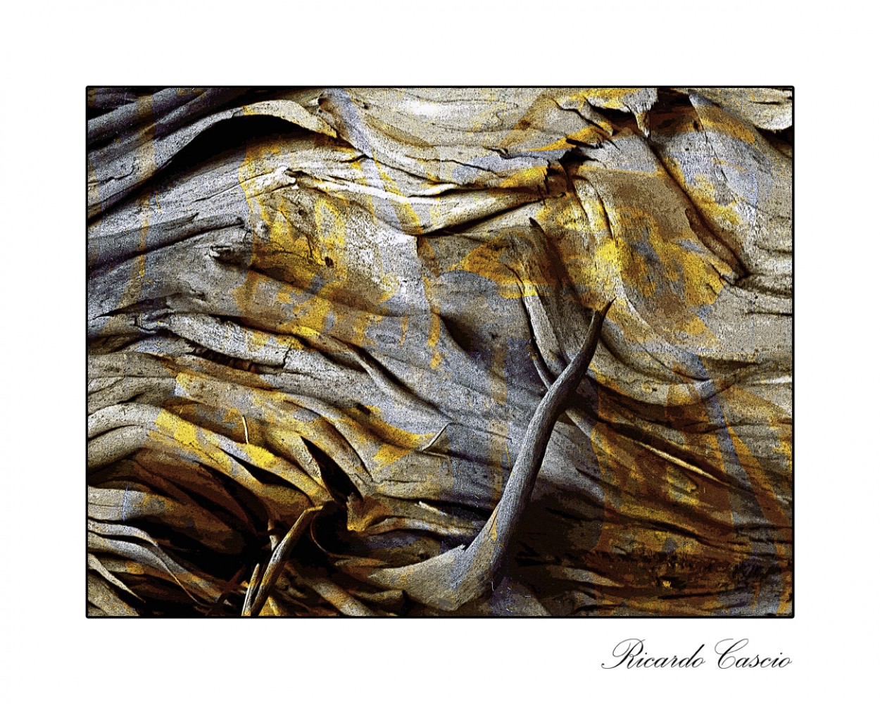 "cortezARTE - Abstracto con corteza-" de Ricardo Cascio