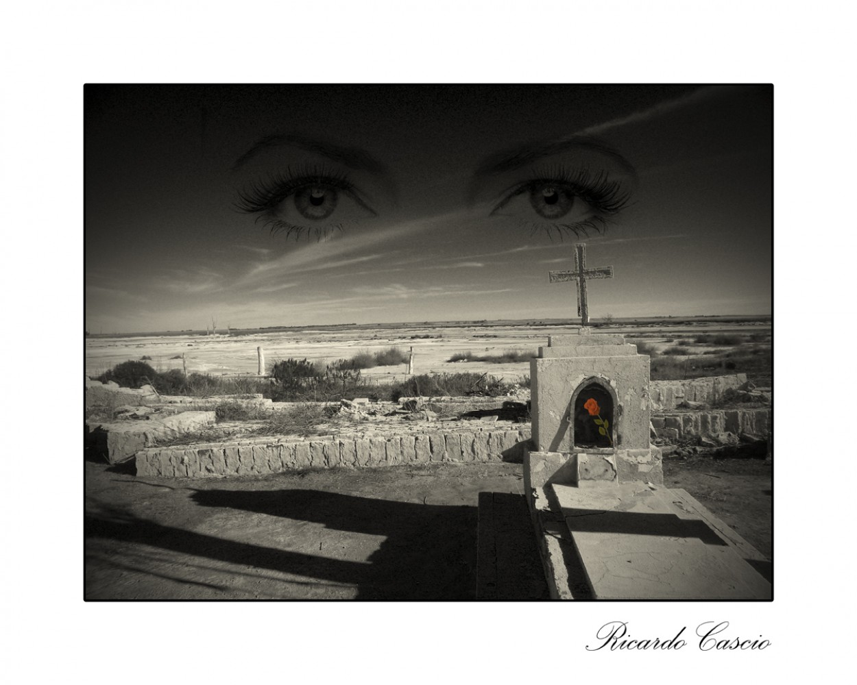 "Vendra la muerte y tendra tus ojos" de Ricardo Cascio