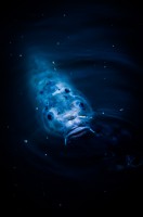 Galactic Fish