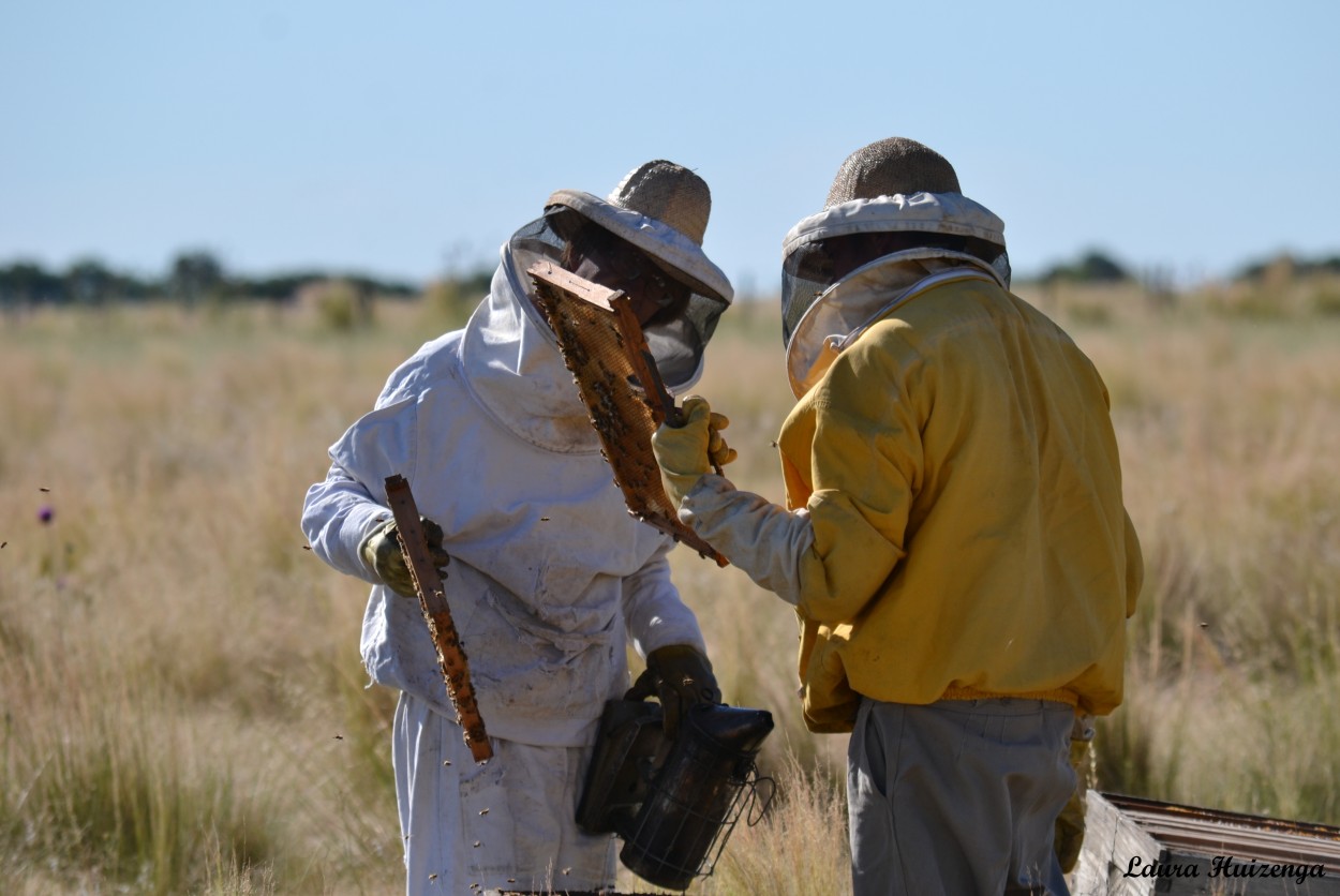 "Los apicultores" de Laura Noem Huizenga