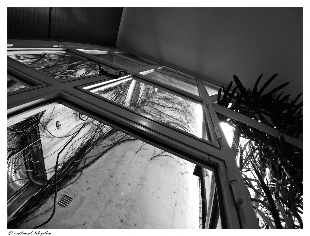 "El ventanal del patio" de Nora Lilian Iturbide ( Noral )