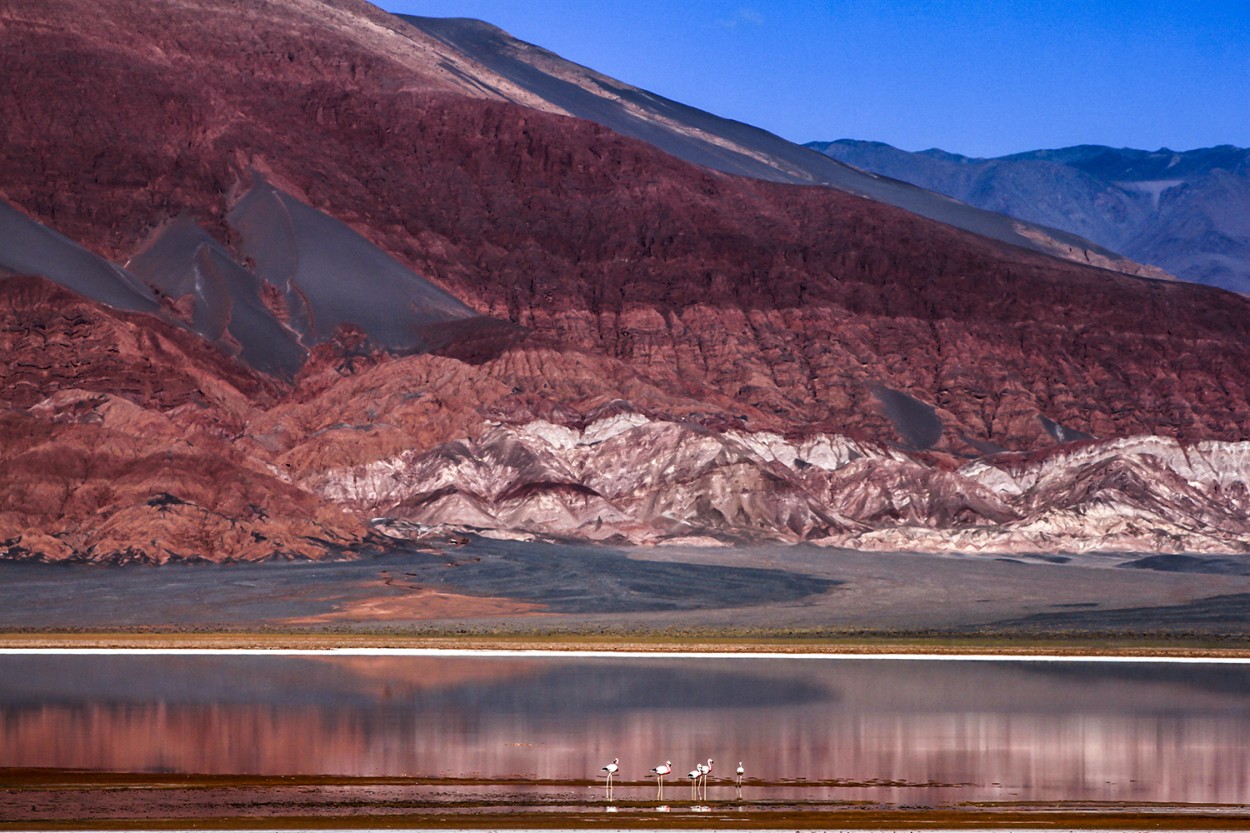 "Laguna roja" de Alejandra I Vzquez