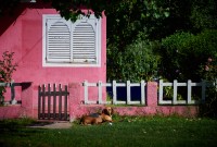 El guardin de la casa rosada