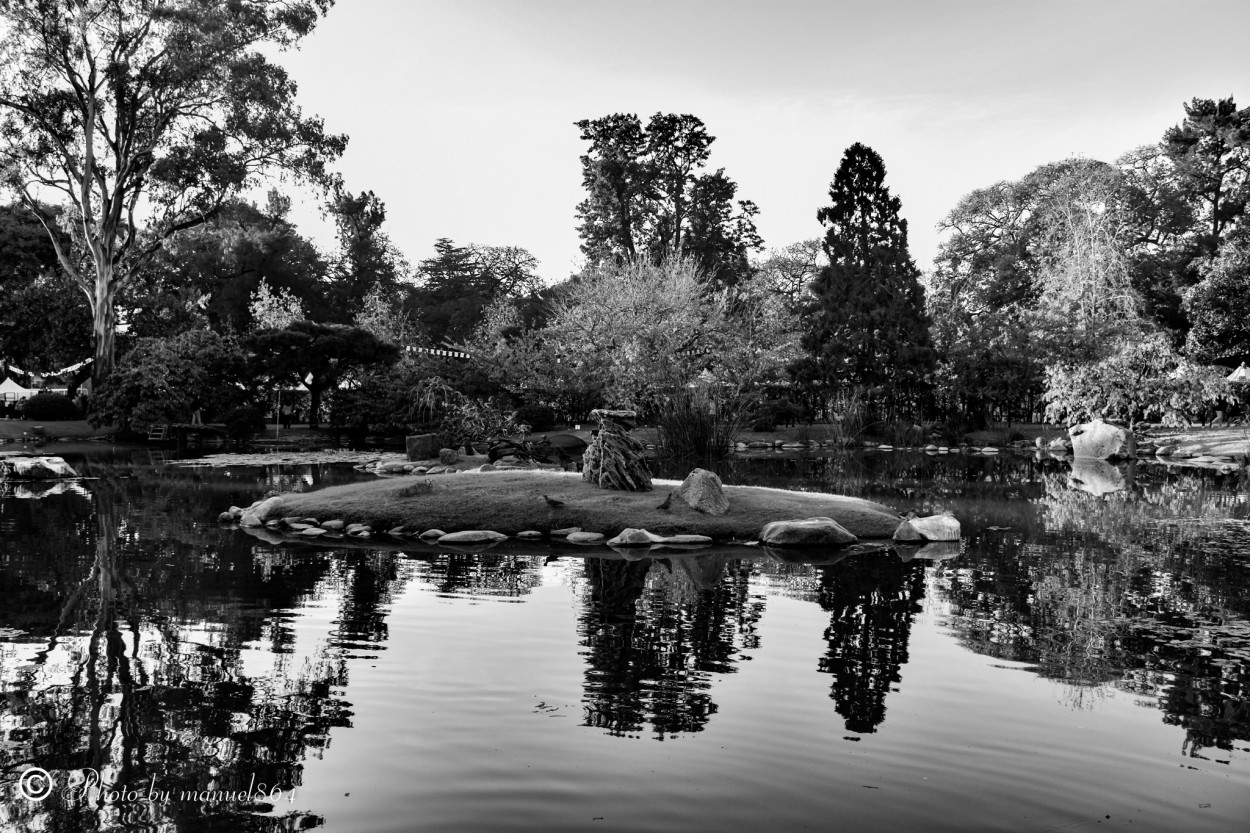 "Jardin Japones ByN" de Manuel Enrique Chavez Manzano