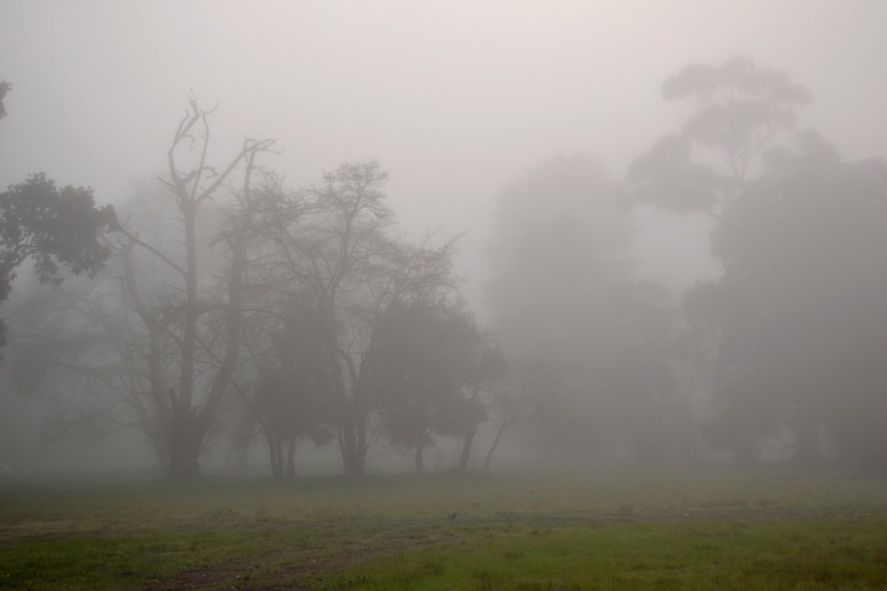 "Un dia de densa niebla" de Carlos D. Cristina Miguel