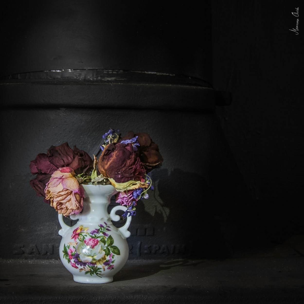 "Flores Frescas..." de Carmen Esteban