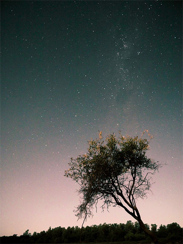 "Dicen las estrellas..." de Gabriel Quiroga