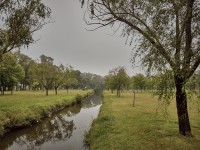 El canal del parque