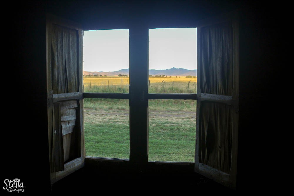 "` Paisaje desde la ventana `" de Stella Maris Rodriguez