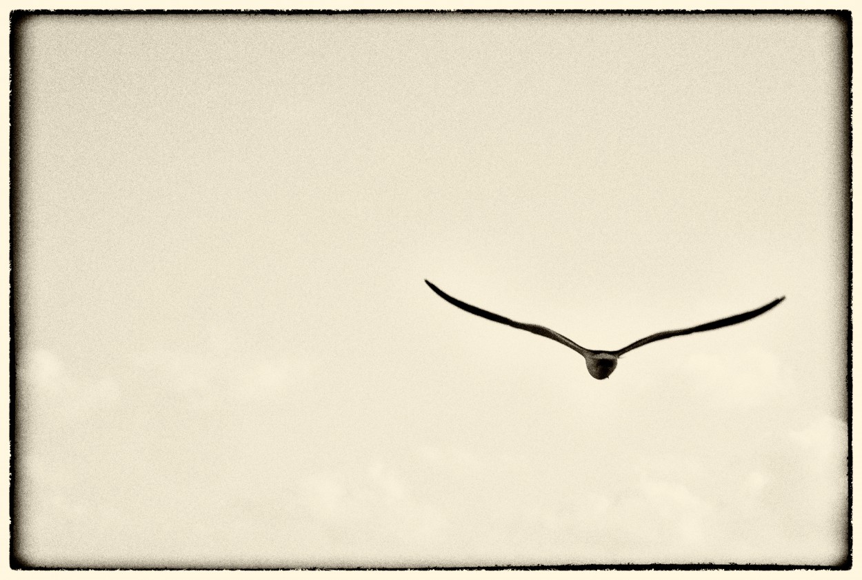"Aprend a volar..." de Mara Ins Hempe