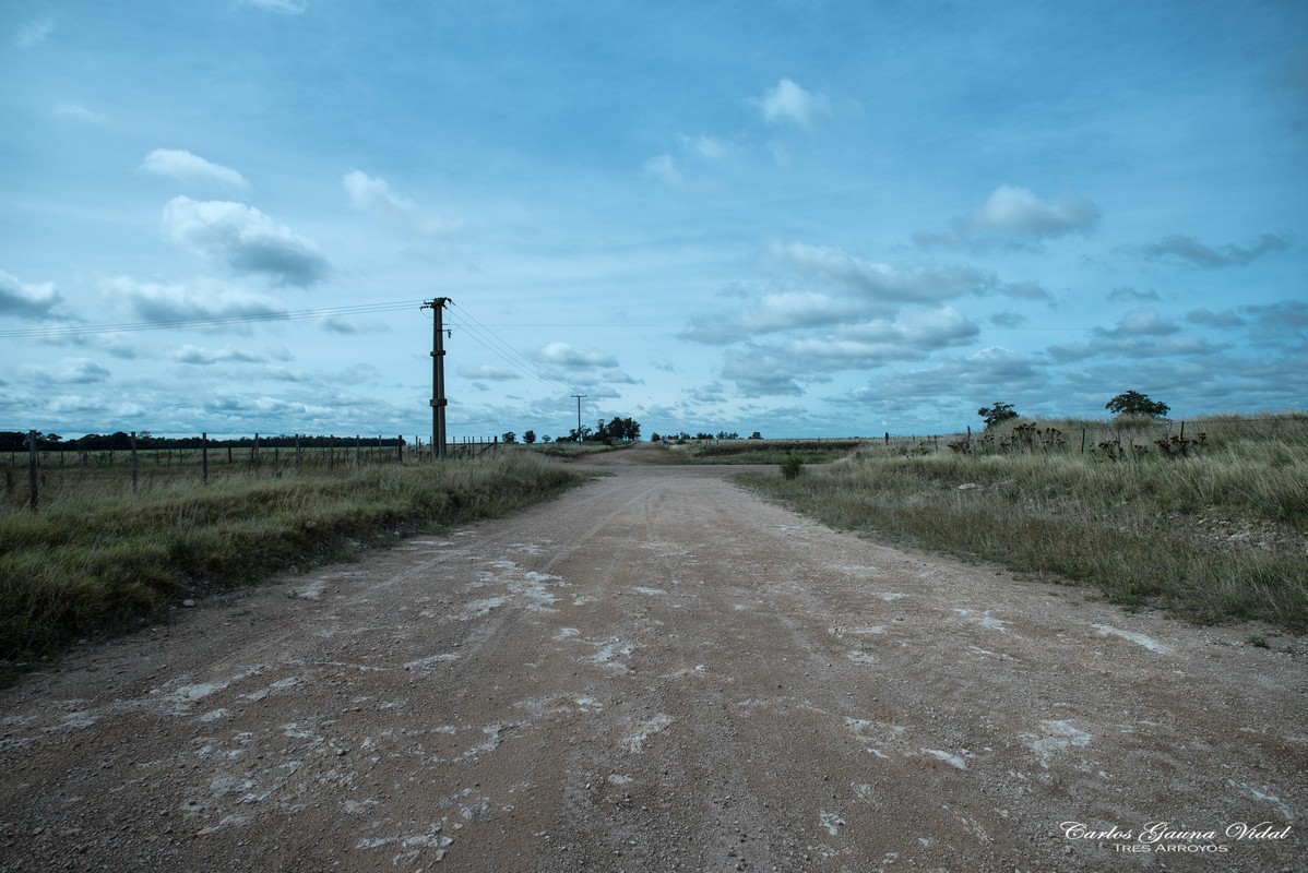 "Caminos rurales" de Carlos Gauna