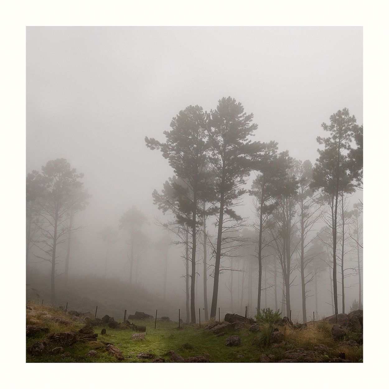 "Niebla" de Rafa Lanuza