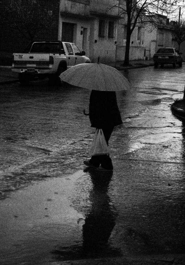 "Tarde de lluvia..." de Alicia Di Florio