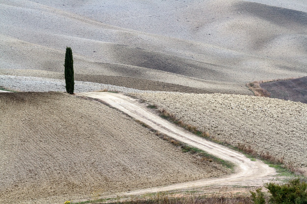 "Paseo y delirio por la Toscana" de Angel Triana