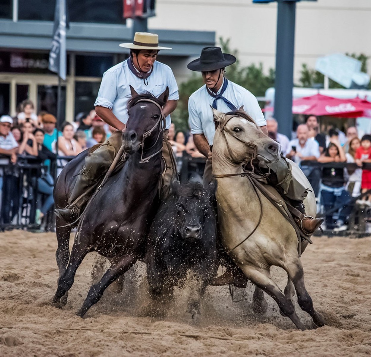 "Rodeo. Final 2019" de Alejandra I Vzquez