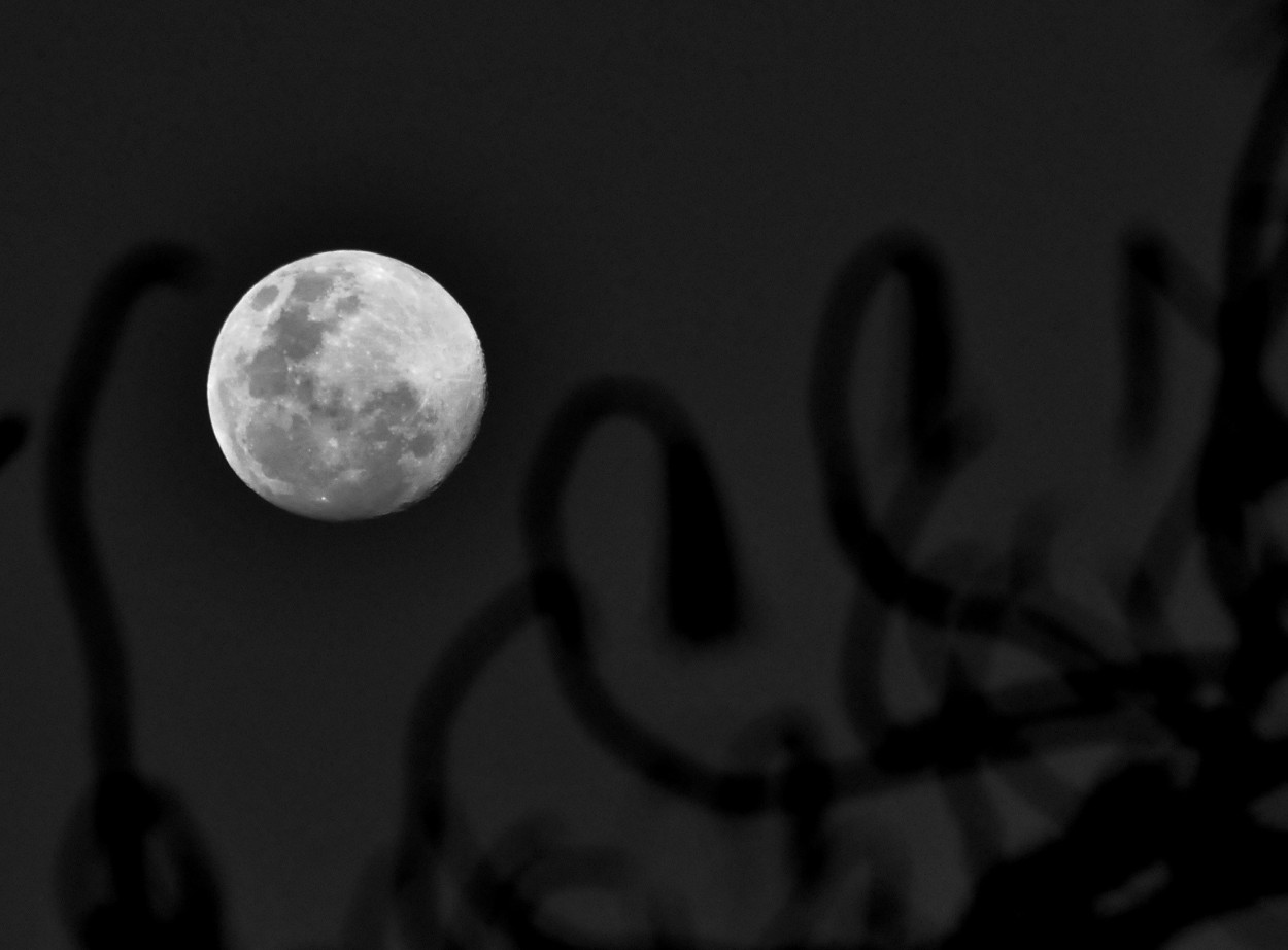 "Se acerca esa luna madeja" de Javier Andrade