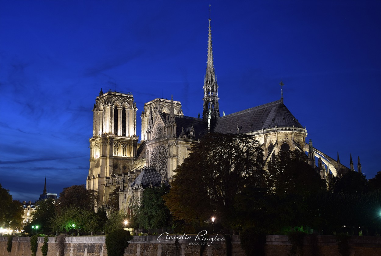 "Notre-Dame, Paris. Francia" de Claudio Pringles