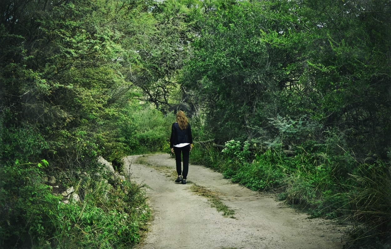 "caminando por el monte" de Laura Aschieri