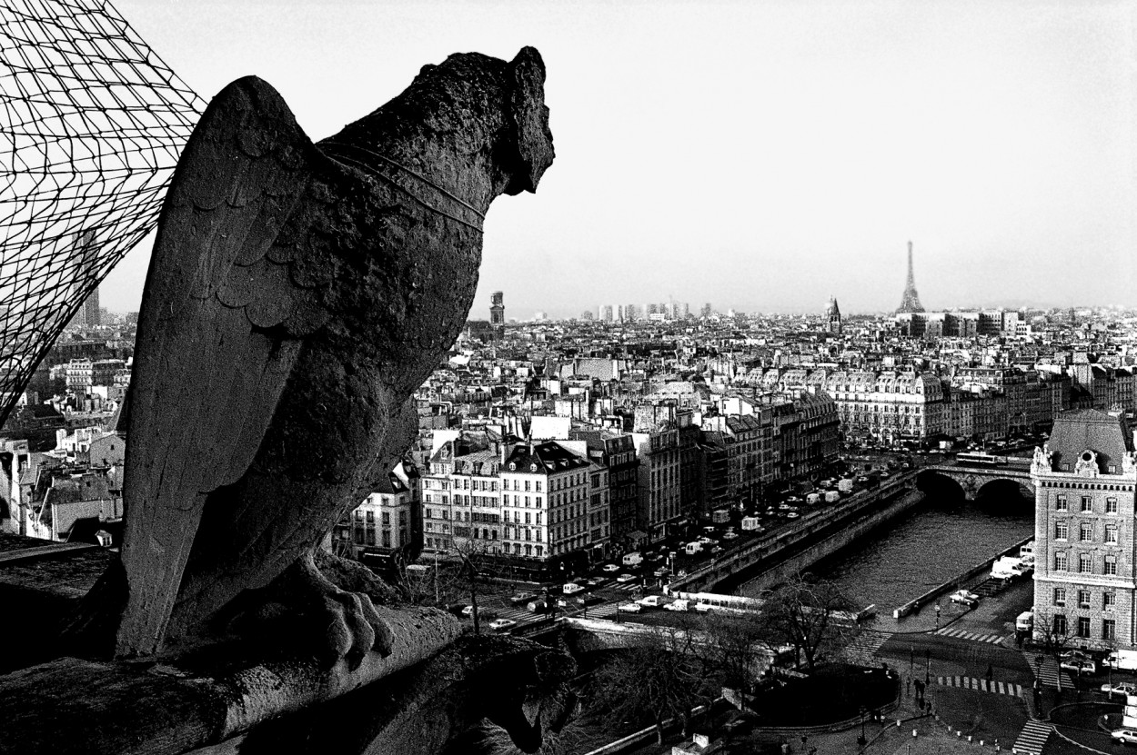 "Mirando desde Notre Dame." de Pascual Dippolito