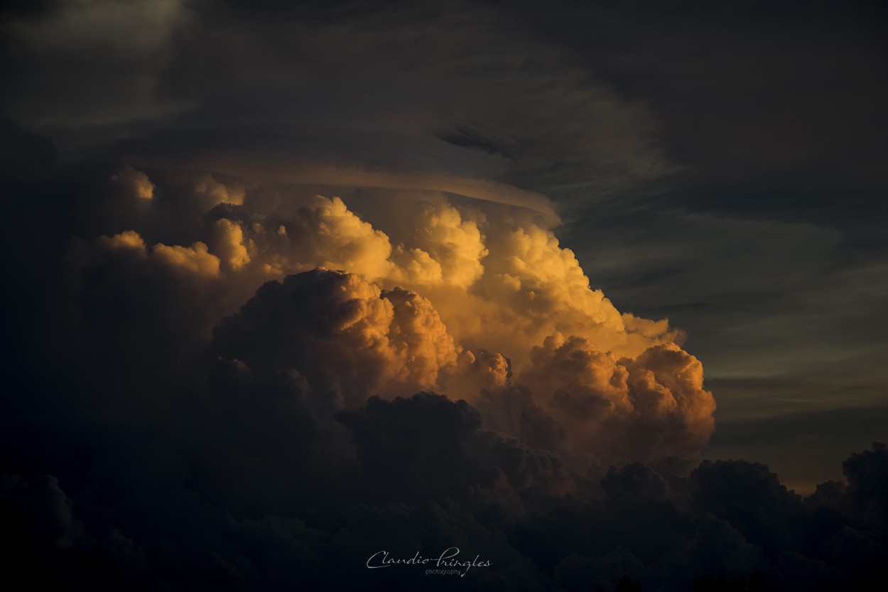 "Despus de la tormenta..." de Claudio Pringles