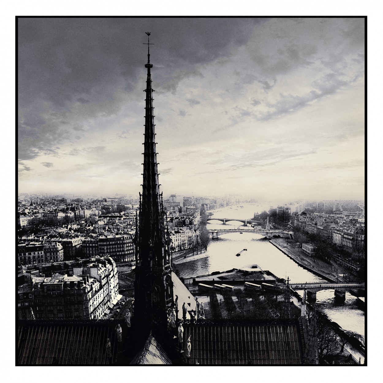 "Vista desde Notre Dame." de Pascual Dippolito