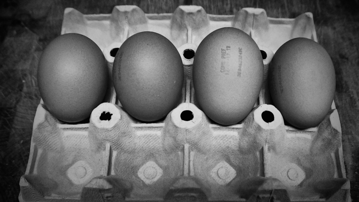 "Foto hecha con huevos" de Joan Arana