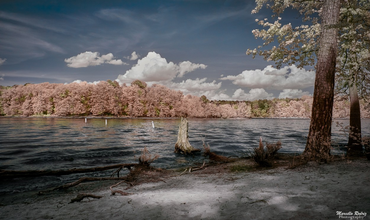 "On the lake" de Marcello Rodriguez Puebla