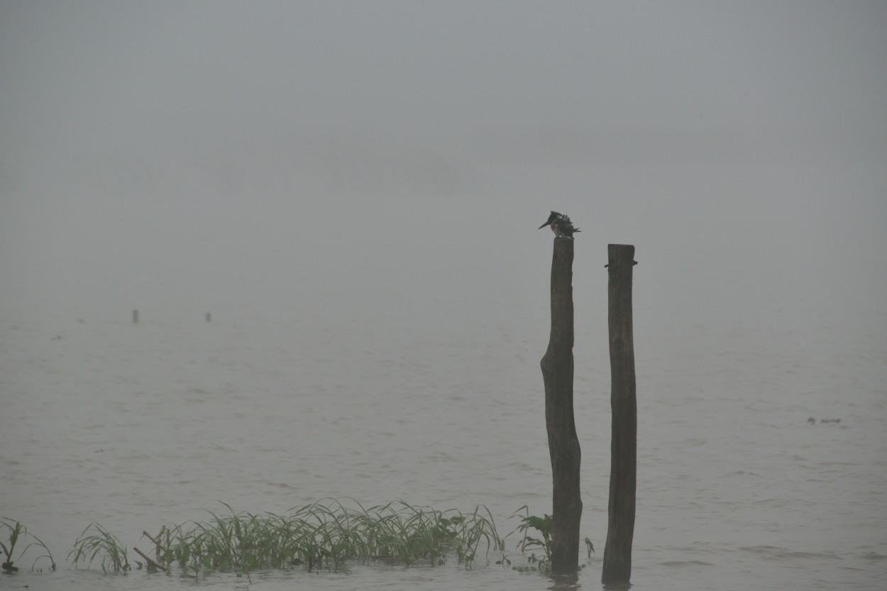 "pesca en la Niebla" de Victor Fontana