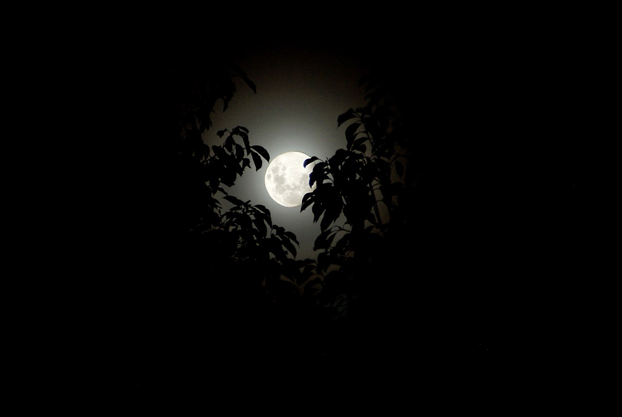 "Romntica luna..." de Juan Carlos Barilari