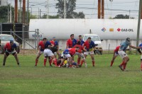 Los muchachos del `cotton` rugby