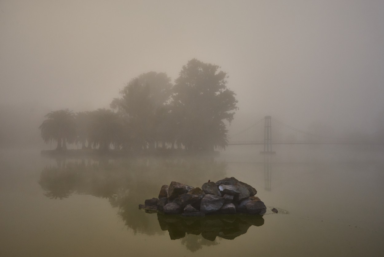 "Niebla en la laguna" de Fernando Valdez Vazquez