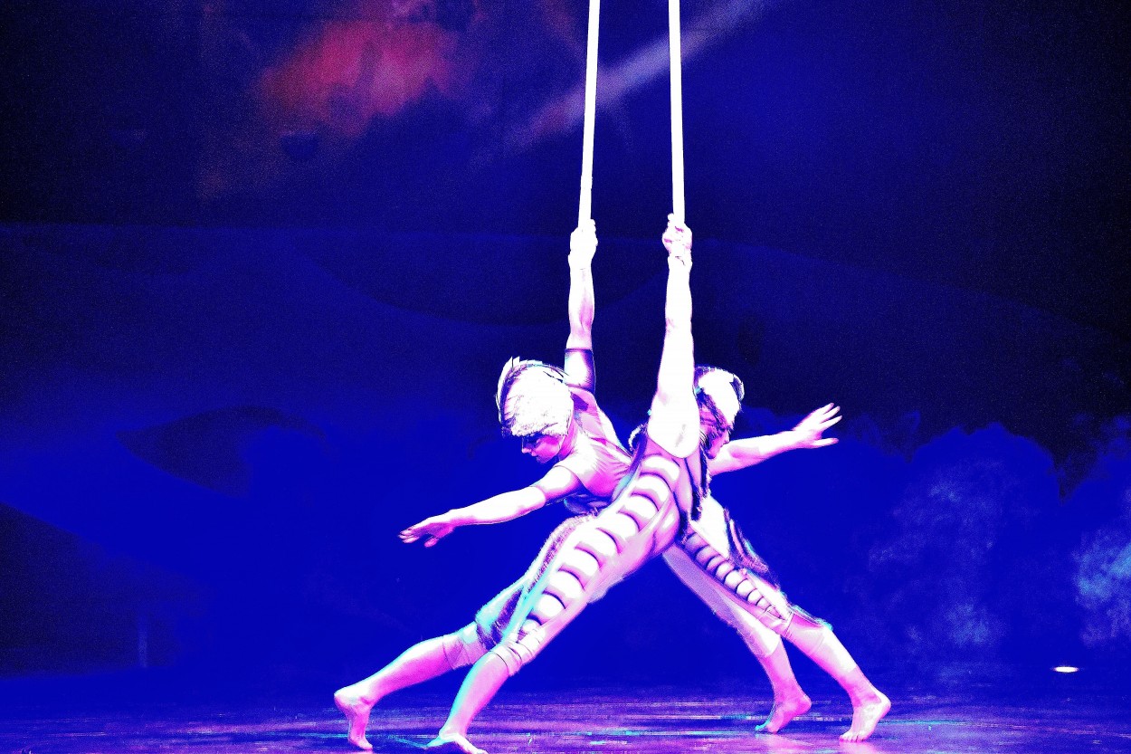 "X: Cirque du Soleil" de Amelia Pascuali de Dios