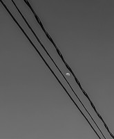 Luna entre cables