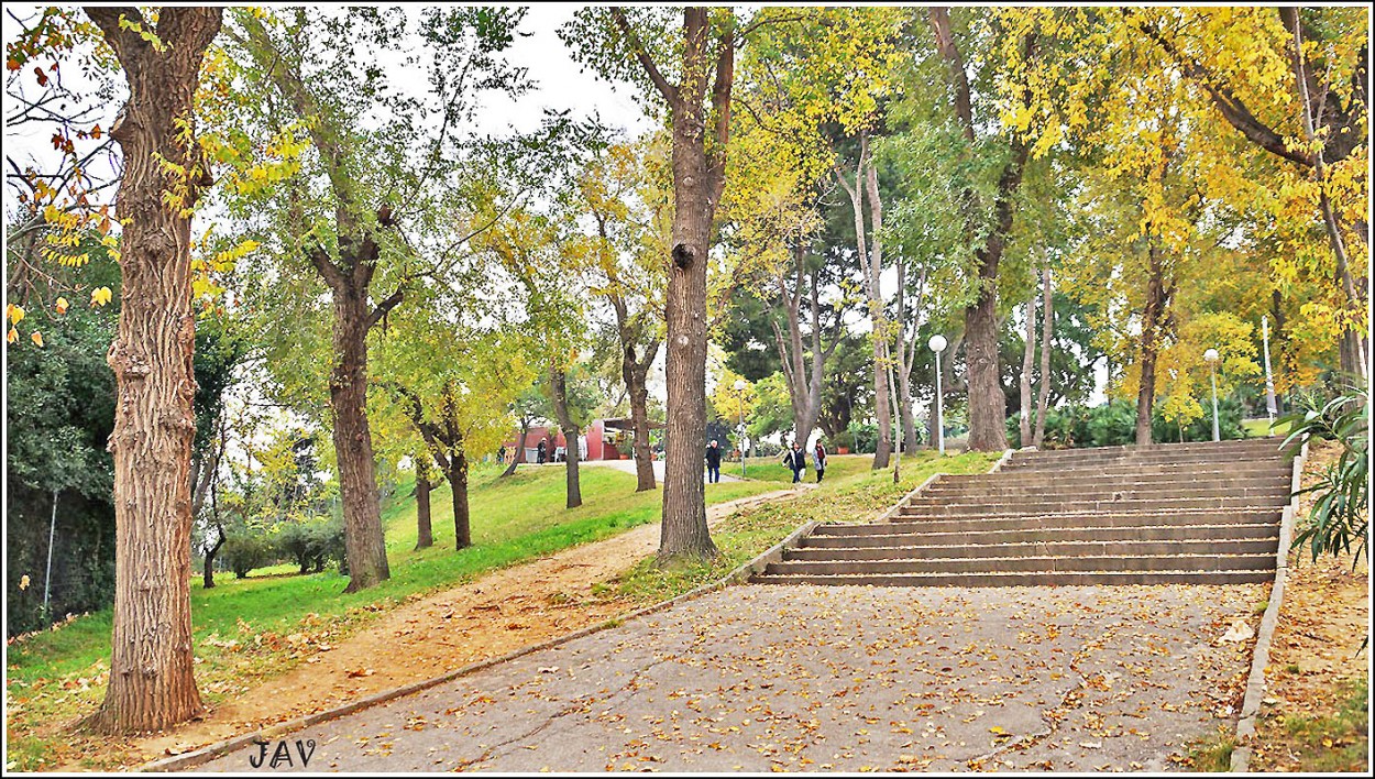 "Parc de Montjuc. 75" de Joan A. Valentin Ruiz
