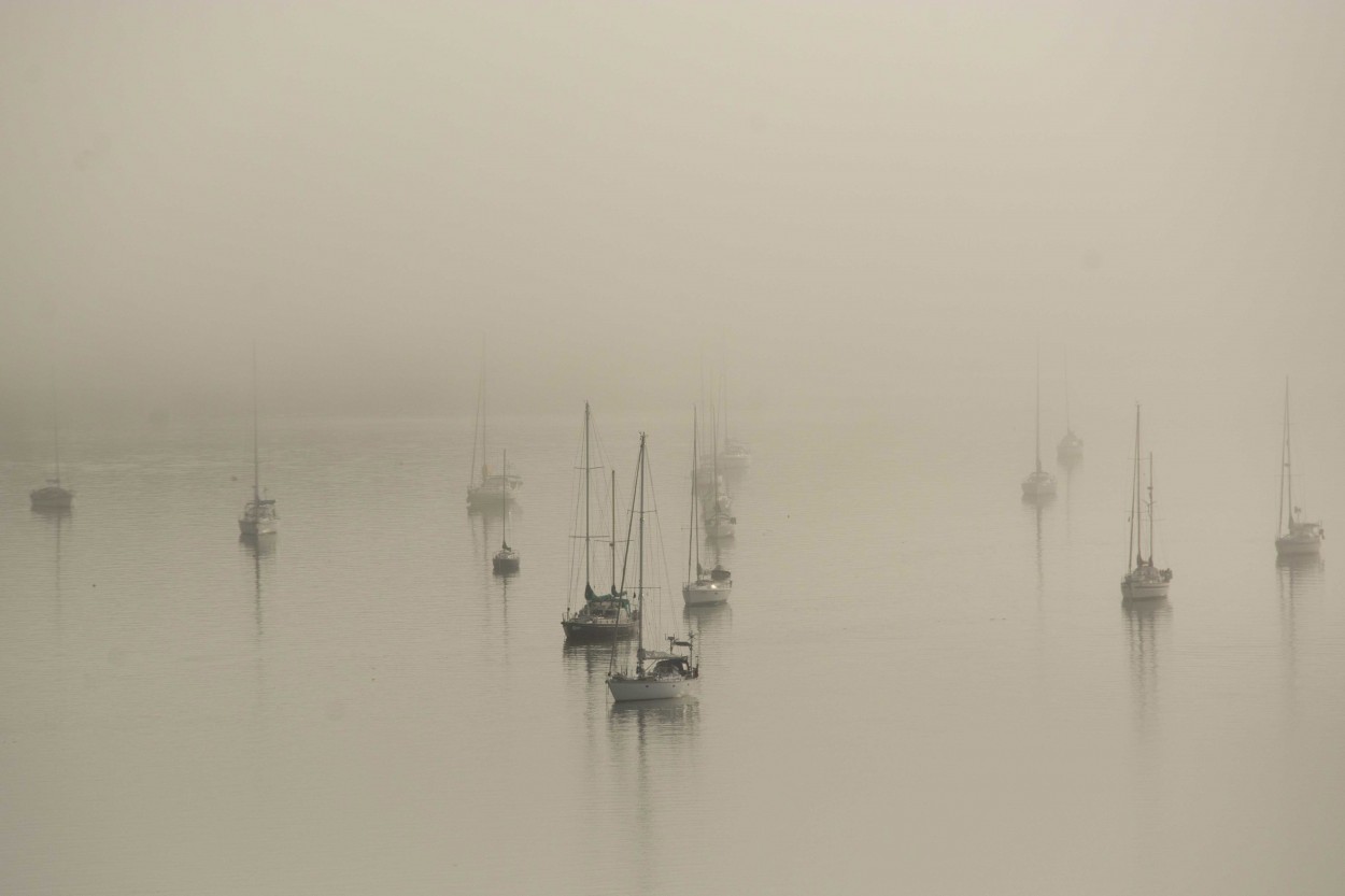 "Niebla en Opua - Nueva Zelanda" de Humberto Bonanni