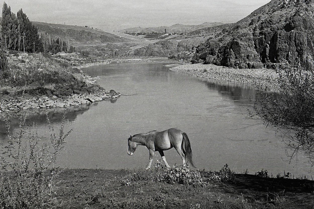 "El caballo de Huaraco" de Osvaldo Sergio Gagliardi