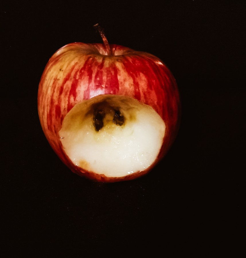 "Corazn de manzana" de Roberto Guillermo Hagemann
