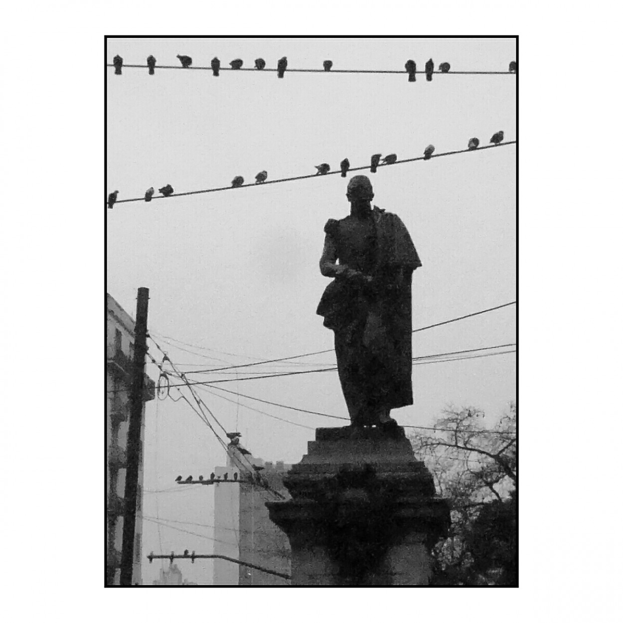 "Monumento y palomas" de Manuel Garxa