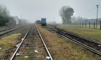 Neblina y trenes