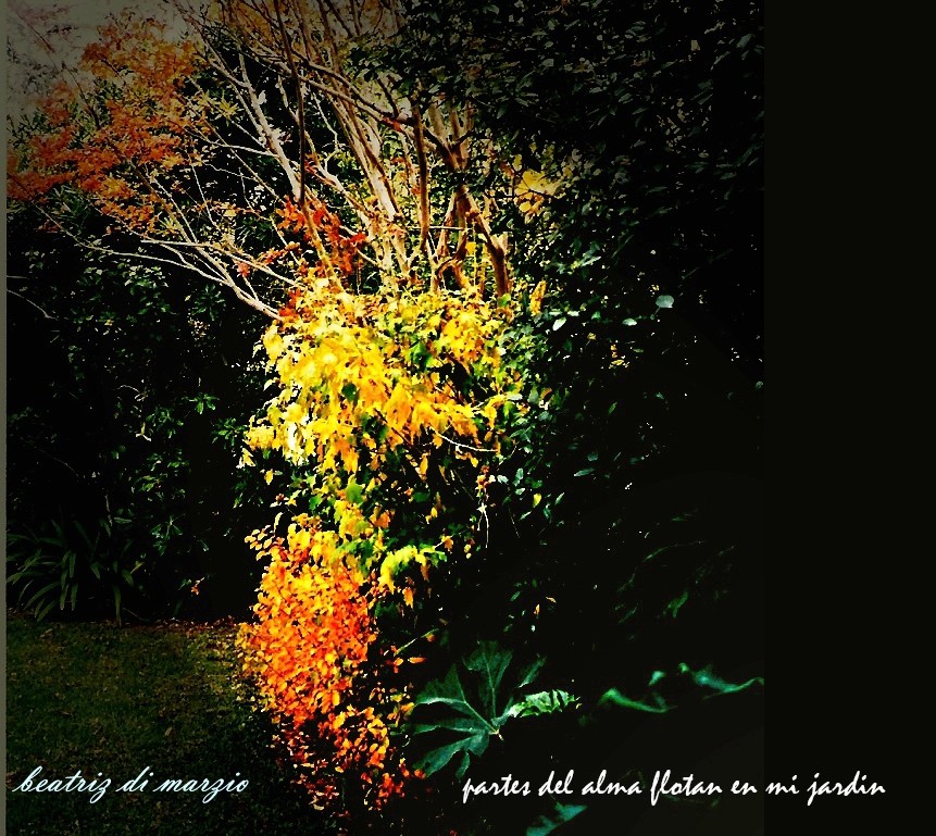 "partes del alma flotan en mi jardin" de Beatriz Di Marzio